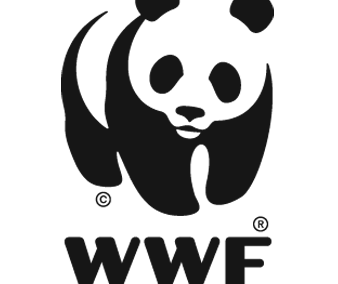 World Wild Foundation